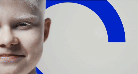 sp-brand-book.gif