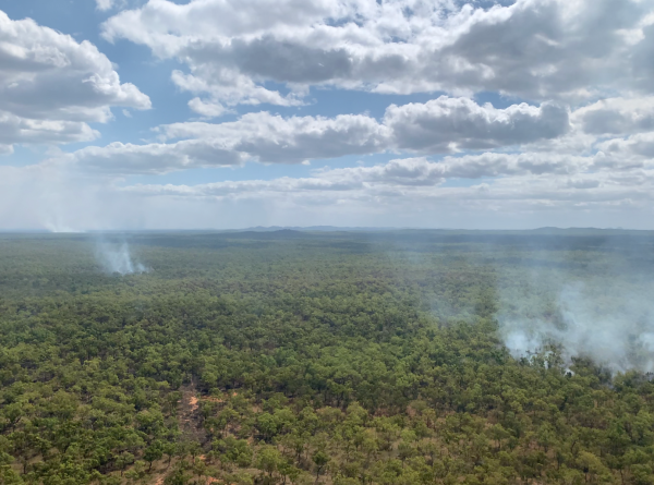 Burning bright: cultivating Australia's unique ecosystems through strategic savanna burning