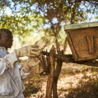 Purchase carbon credits and finance climate action