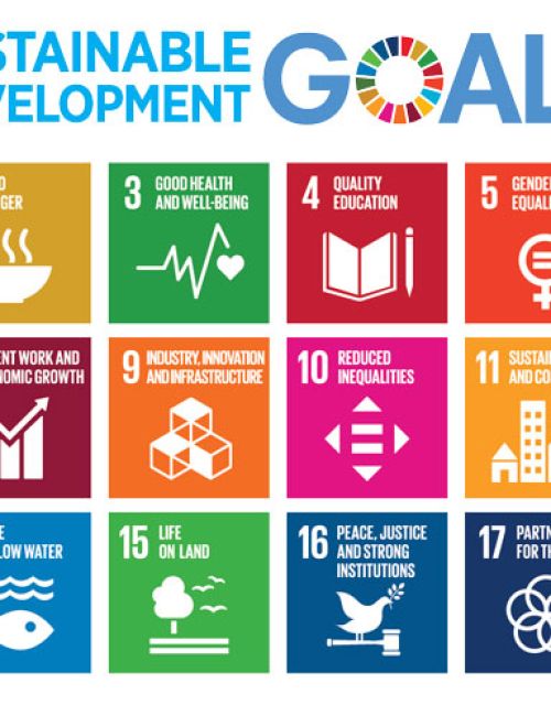 Creative Communication for a Sustainable World