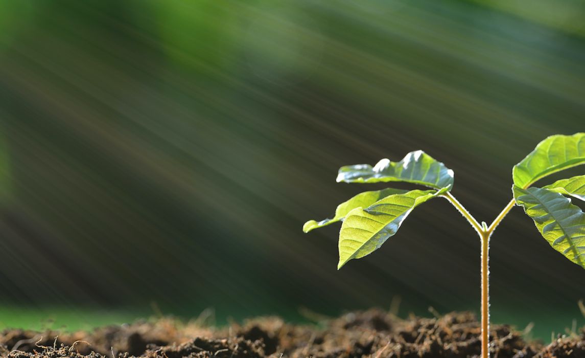 impact-funds-invest-banner-south-pole-v2.jpg
