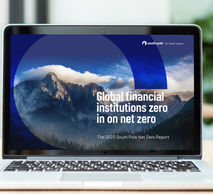 The 2025 South Pole Net Zero Report